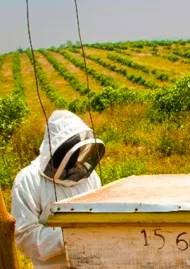 Bee Keeper