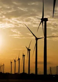 Windmills at sunset